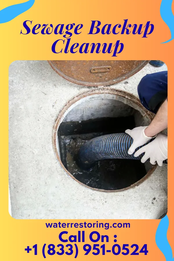 Sewage Backup Cleanup in Hebron, WI