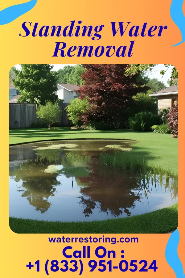 Standing Water Removal in Hebron, WI